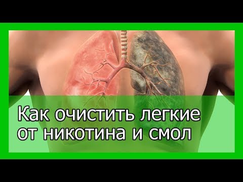 Лучший способ очистить легкие от никотина и смол