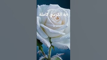 سورة البقرة اية الكرسي كاملة بصوت جميل #قرآن  #قرآنكريم  #تلاوة_قرآن  #قران_شورت#تلاوة  #قرآن_كريم