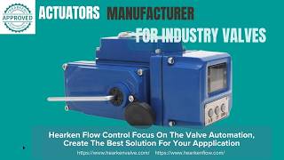 HEA Series Electric Actuator: 4-20mA Terminal Functions Explained