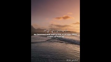 حالات واتساب دينيه القران الكريم  تلاوه مريحة للاعصاب و ايوب اذ نادى ربه أني مسني الضر ماهرالمعيقلي