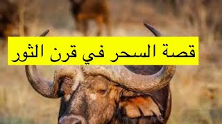 ٣٩_قصة عمل سحر في قرن ثور (قصة عمانية) #عمان #مسقط