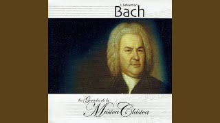 Violin Concerto in A Minor, BWV 1041: I. Allegro ma non troppo