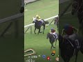 It’s CROIX DU NORD’s G1 Tenno Sho (Spring) 🇯🇵He just holds on to secure G1 win number 4⃣ #クロワデュノール