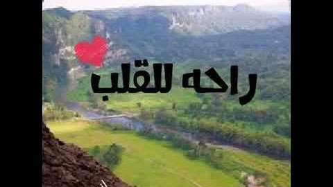راحة للقلب تلاوة خاشعة بصوت الشيخ عبد الولي الاركاني