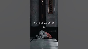 ما تيسر من سورة نوح #تلاوات #اكسبلور #المصحف #قران_ #لايك #القزابري #duet #ترند #الرحمن #راحة_نفسية