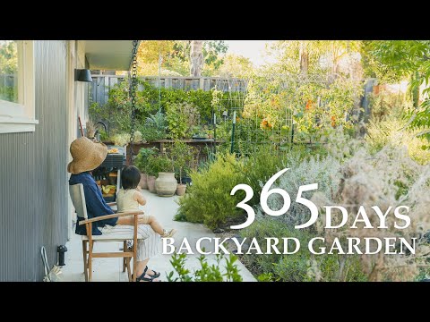 365 Days Backyard Garden Transformation Vegetable Harvesting Slow Suburb Life