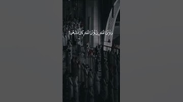 علي جابر سورة الإسراء :( أَقِمِ الصَّلَاةَ لِدُلُوكِ الشَّمْسِ إِلَىٰ غَسَقِ اللَّيْلِ