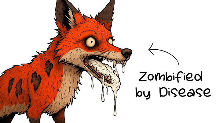 Why It Sucks To Be Born As A Fox