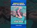 蕭副總統MIT裝備出海 帛琉泛舟.浮潛.開船樣樣來 #蕭美琴 #帛琉 #泛舟 #浮潛 #開船