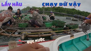 221/ Thời điểm hiện tại câu cá NÂU ( hói ) cực dể tại Long Sơn Vũng Tàu , chịu khó móc mồi là lụm .