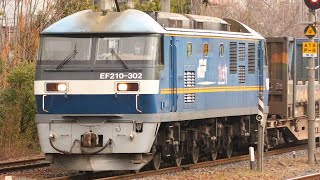 【貨物列車】日曜日の貨物列車 EF210とEF510 #ef210桃太郎