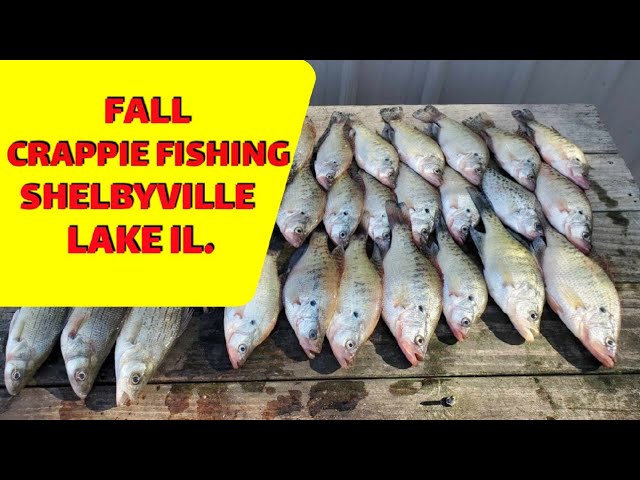 November Jig Crappie Fishing, Feel The Thump – Lake Shelbyville