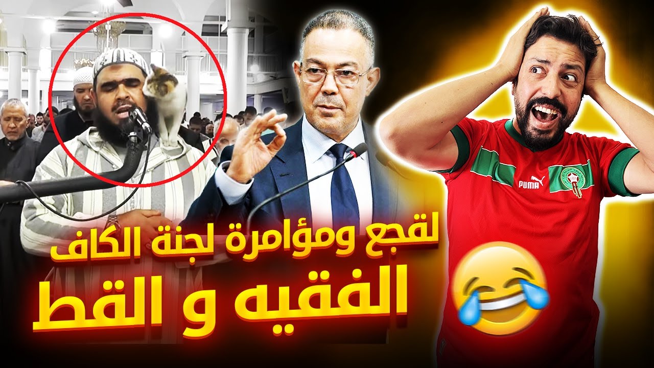 Black Moussiba || 🤣👍 القجع و مؤامرة لجنة الكاف الجزائر ، الفقيه و القط