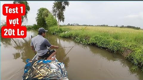 Kích 1 vợt 20f tổng hợp nước ngọt phèn bắt cá phi lóc rô 