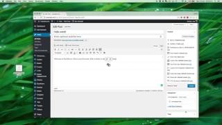 Information Get Noticed! Theme - Add Audio to a Post/Page News