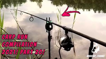 CARP RUN COMPILATION 2021! PART 20!