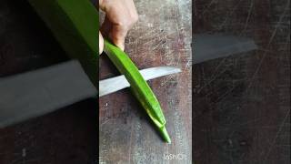 😱 Inside Okra! #shorts #ladyfinger #ytshorts