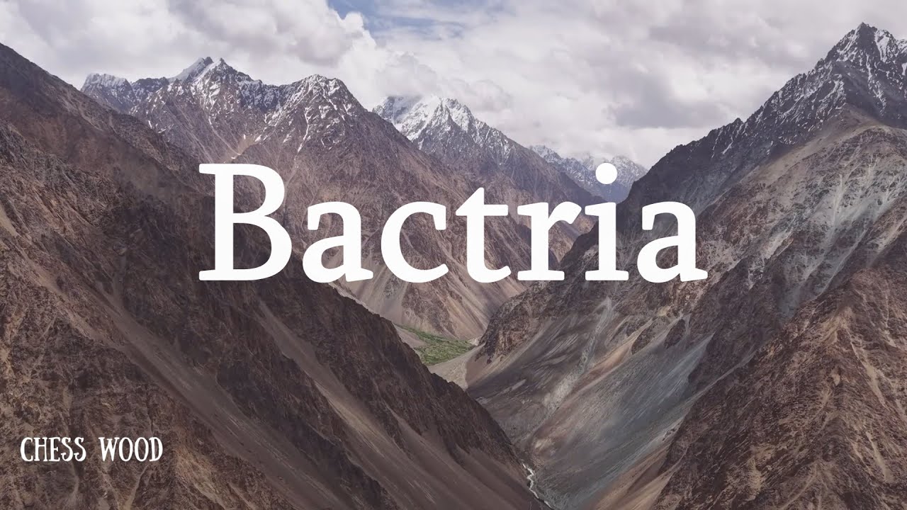 Watch Bactria on YouTube Watch Bactria on YouTube