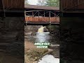 Amnicon Falls, Wisconsin