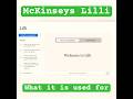 What McKinsey's AI tool Lilli is used for