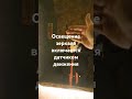 #Зеркало#Датчик#Рек#DenisShestakovГруппаКаналТГ