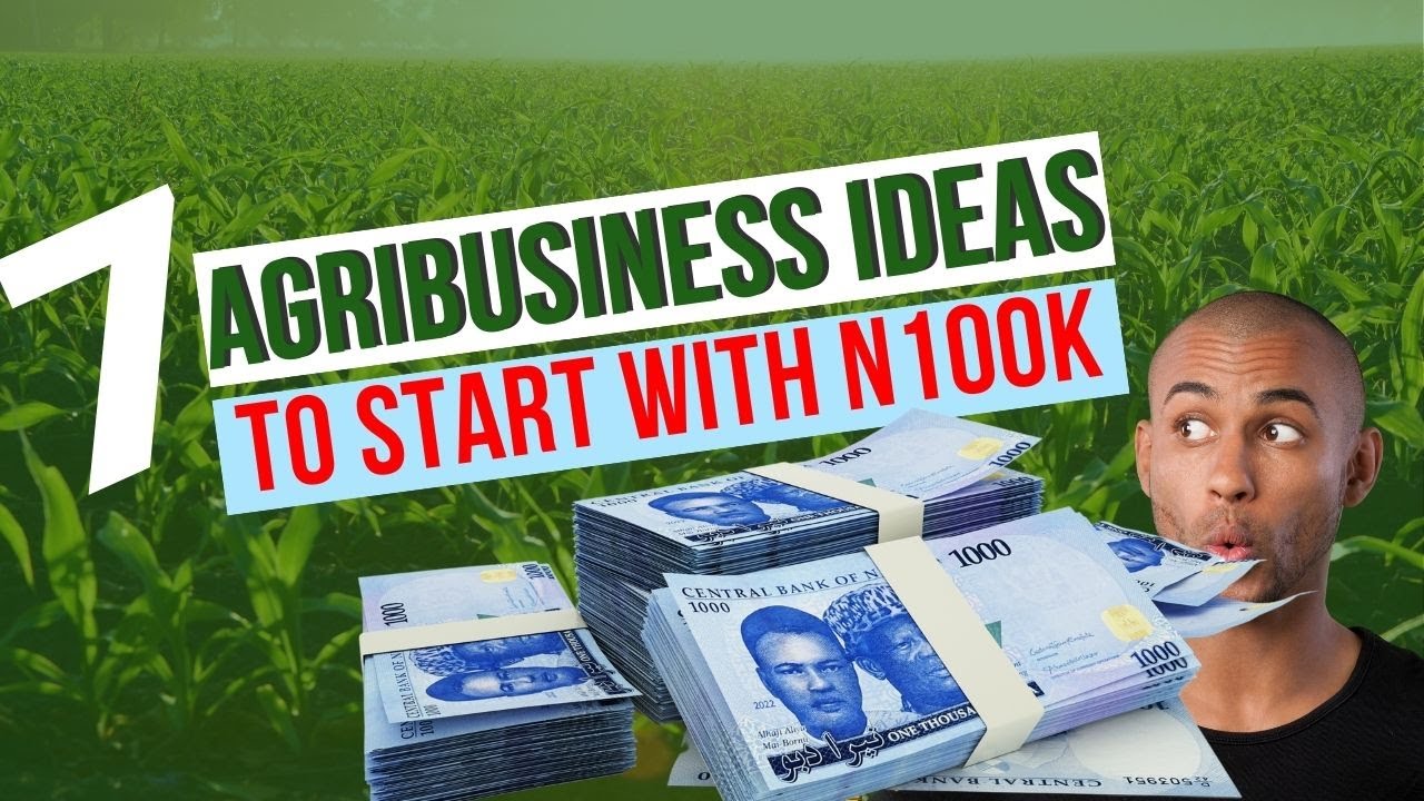 7 Lucrative Agribusiness Ideas You Can Start with Just N100k! - YouTube