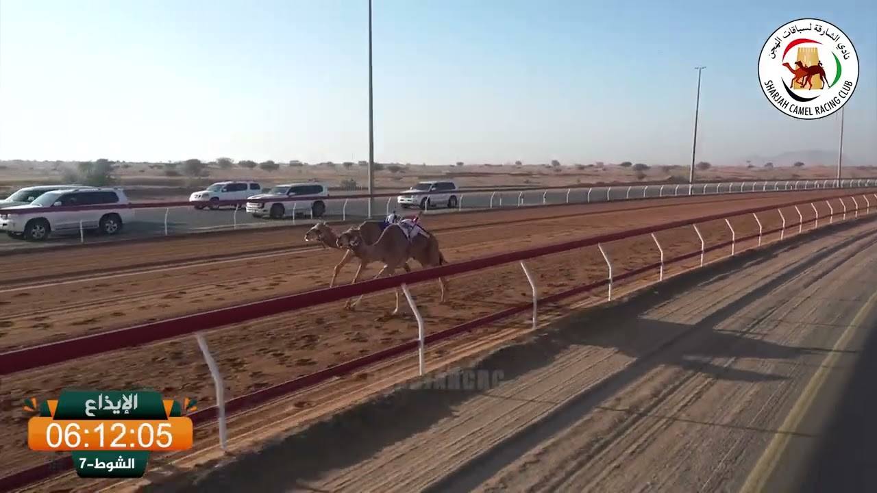 ميــدان الذيد - ش 7 الإيذاع 19/01/2026  الظفره لـ محمد جاسم براك المزروعي. التوقيت: 9:36:75