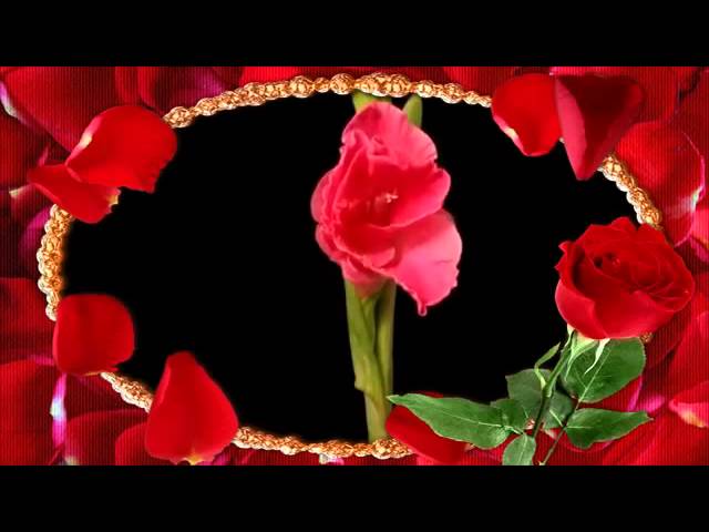  - HeartVod