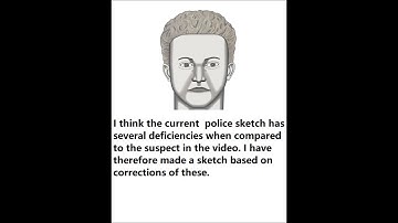 Delphi Murders New Sketch