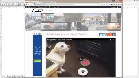 Video Blogster example with Snaptube theme