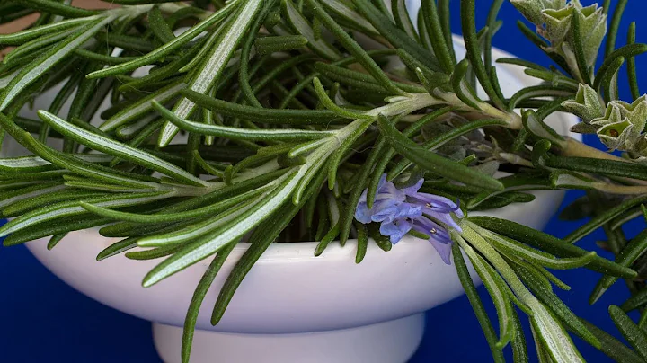 How Can Improve the Rosemary Brain Activity?