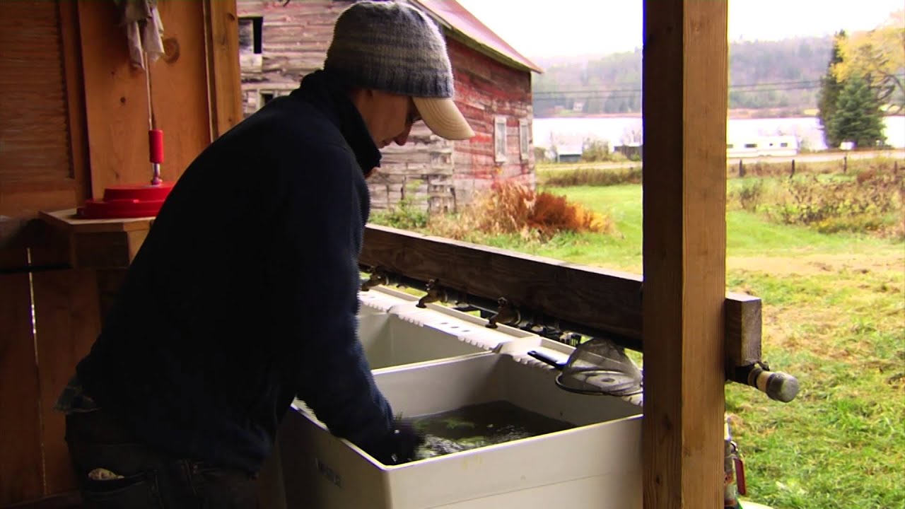 Produce Packshed Design for Safety & Efficiency Flywheel Farm YouTube