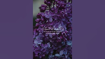( إن الله لا يخفى عليه شيء…) سورة آل عمران من الآية 5 إلى 6، بصوت الشيخ ياسر الدوسري #القرآن_الكريم