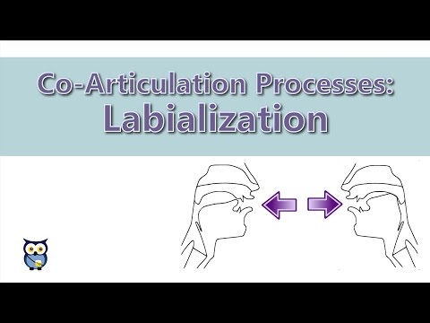 Co-Articulation Processes: Labialialization