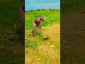 এ লোকটা অনেক গরিব মানুষ অনেক কষ্ট করে🤲🤲👍👍💙