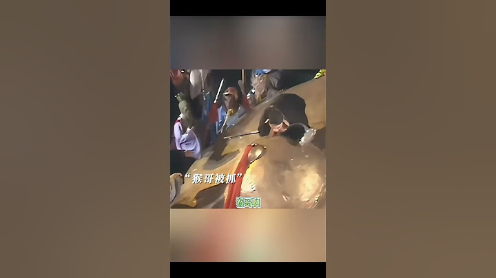 猪八戒对猴哥和唐僧有多双标？ #西游记 #孙悟空 #sunwukong #blackmyth