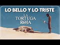 LA TORTUGA ROJA 🟡 EXPLICACIÓN, REFLEXIÓN y ANÁLISIS | NOLBAC