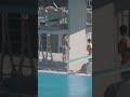 рџ єрџ ё University Of Miami Best Diver рџ єрџ ё University Of Miami Best Diver