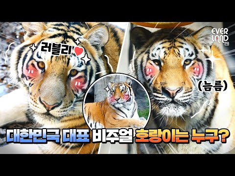 [ENG] 최소 3번은 돌려보게 되는 역대급 미모