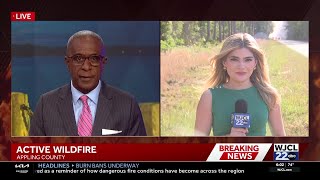 Appling County wildfire among latest in southeast Georgia