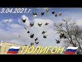 НИКОЛАЕВСКИЕ ГОЛУБИ - " ПОЛИГОН " САМОСТОЯТЕЛЬНЫЕ ПОЛЁТЫ. 3.04.2021.Г.