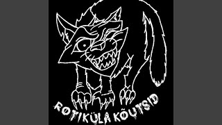 Video thumbnail of "Rotiküla Kõutsid - Rocknroll Ei Sure"