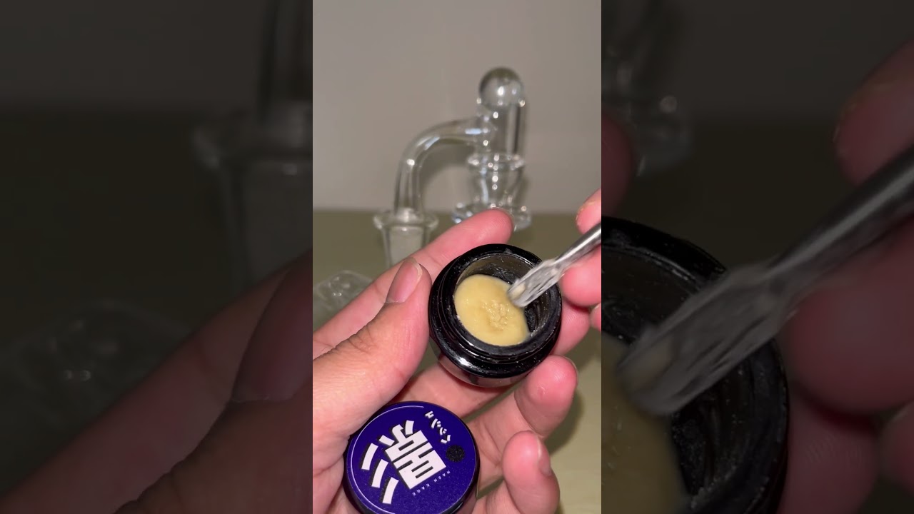 Grape Cream Cake 🍇🍰 Live Rosin