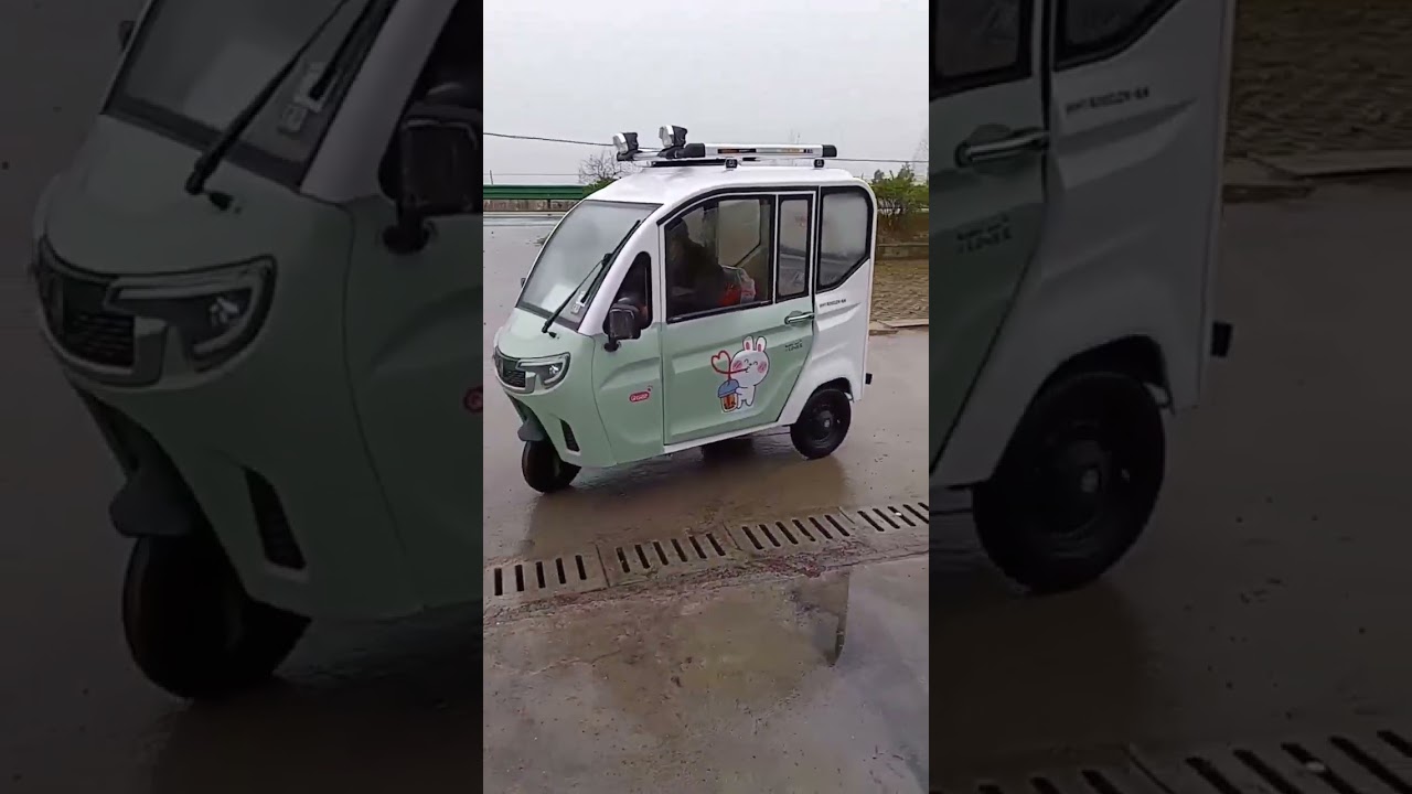 Electric tricycle, fully enclosed. Rain and snow proof, easy to travel.