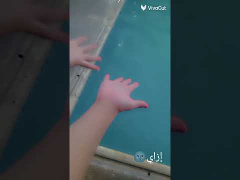دا حلم لأ علم ازاي مش مهم