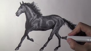 comment dessiner 1 cheval