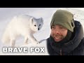 Caught in a BLIZZARD on remote Island - Wildlife photography in the arctic