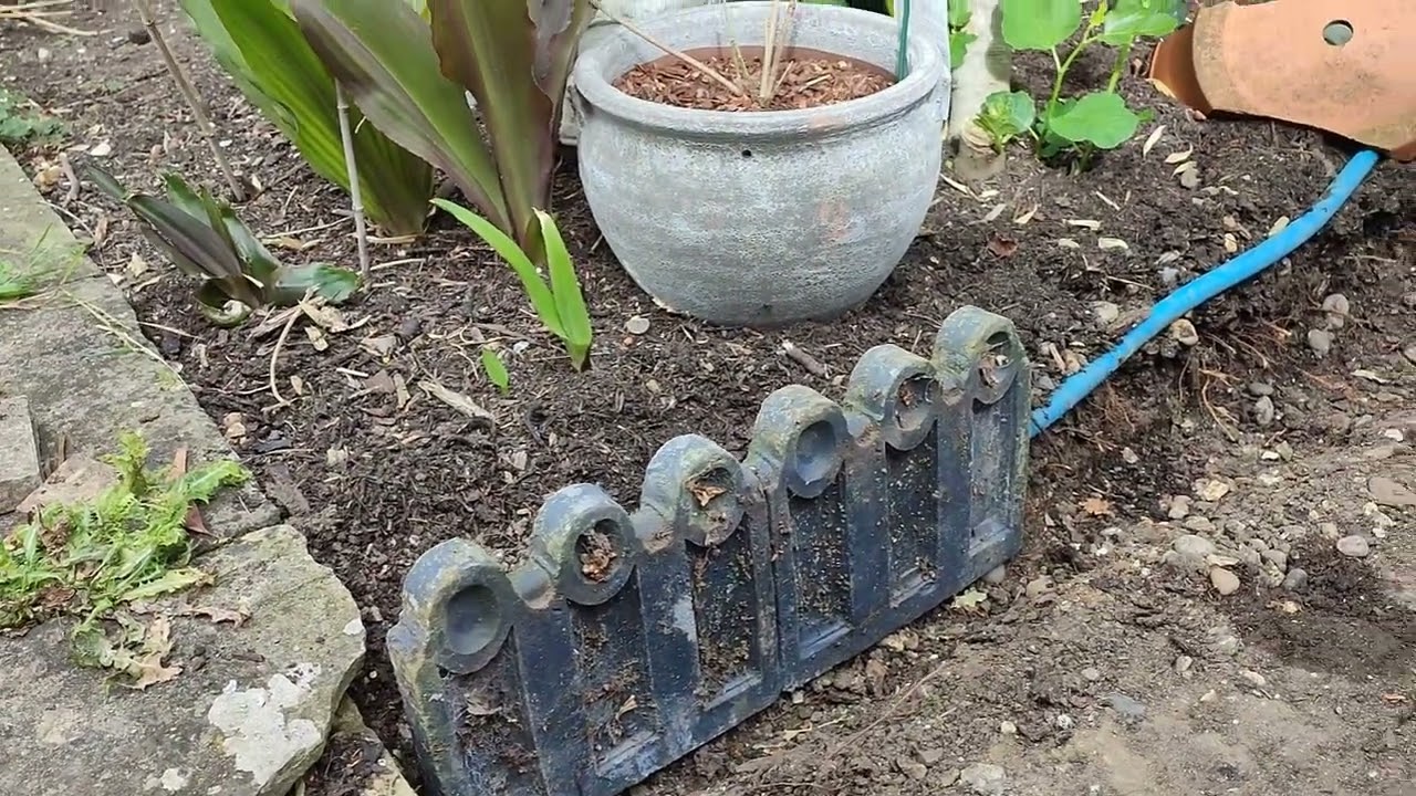 Wet June Garden Tour