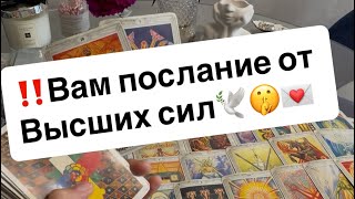 видео: ‼️Вам послание от Высших сил🕊️❤️💌 картинка: ‼️Вам послание от Высших сил🕊️❤️💌