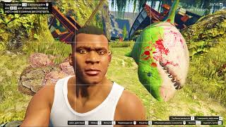 :     (GTA V)
